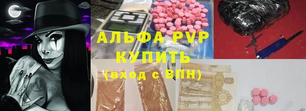 стаф Богданович